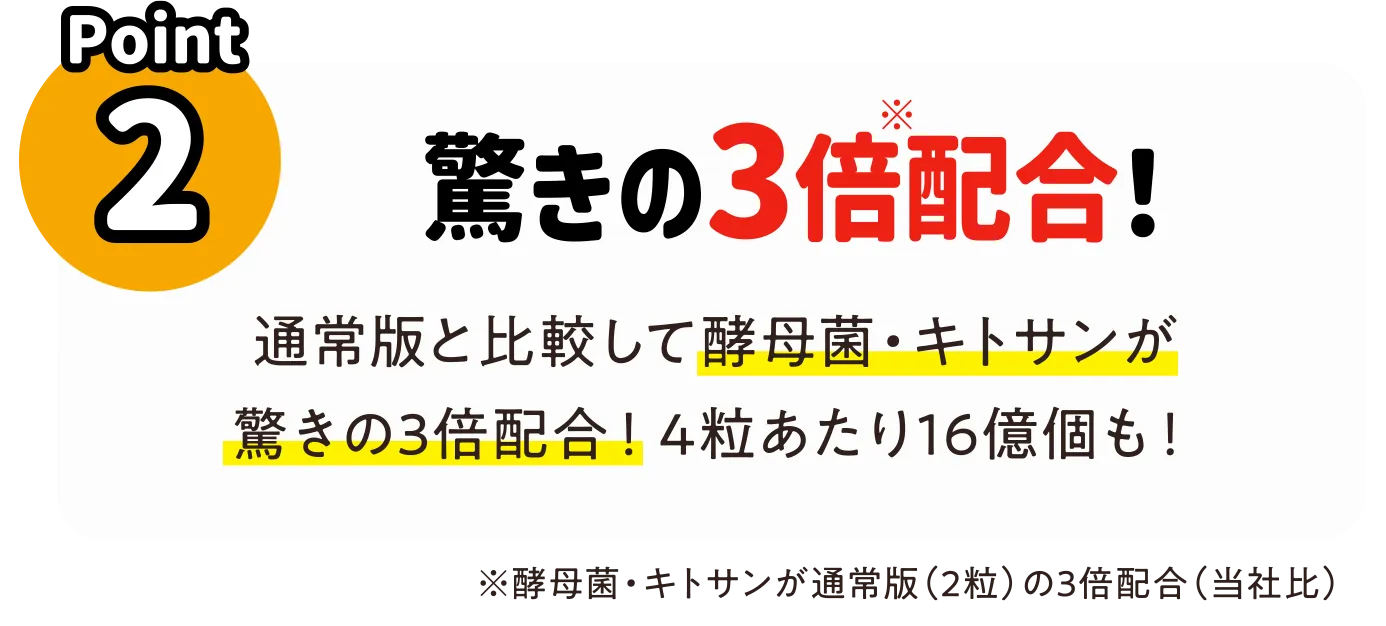Point2 驚きの3倍配合！