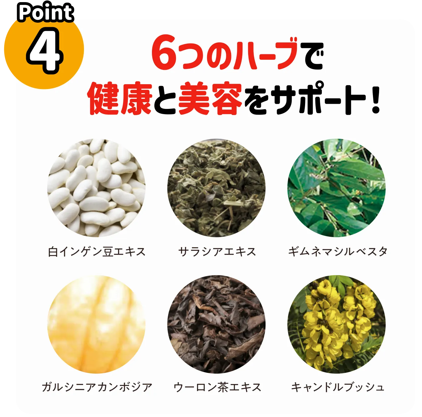 Point4 6つのハーブで健康と美容をサポート！
